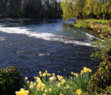 The River Exe at Bickleigh